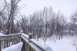 Snowy Mountain Summit & Sol - Shuttle - Patio - 7