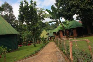 Songota Falls Lodge - 0