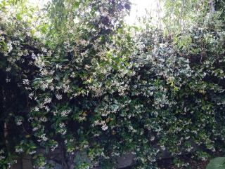 Casa Las Marías - 9