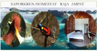"Saporkren Homestay Raja Ampat" - Tapokreng - 5