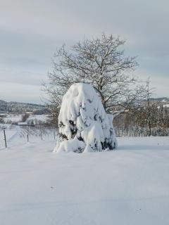 "RYVILLA" Dom na Wilkówce - Gaboń - 8