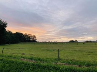 Camping Ont Moeten - Pim zijn tent - 2