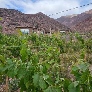 Cabañas Bodega Kindgard - 9