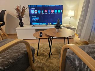 Arctic Willamo Studio- Rovaniemi - 8