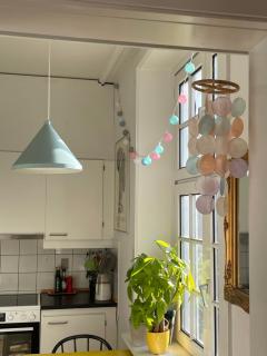 Hyggelig lejlighed i Sydhavnen - Copenhaga - 2