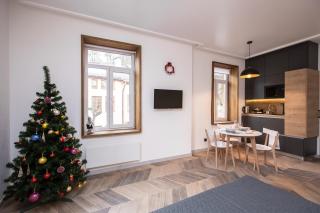 High castle park view studio - 9