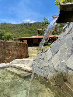 Quintal dos buritis - 1