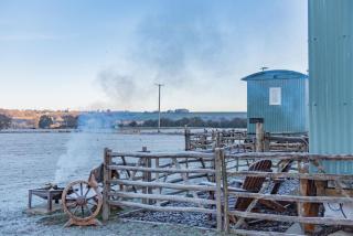 The Lookerer by Bloom Stays - 5