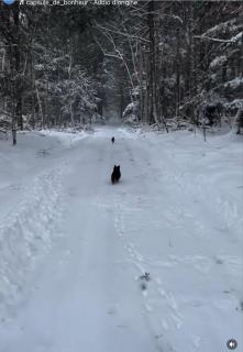 Capsule de Bonheur - 1