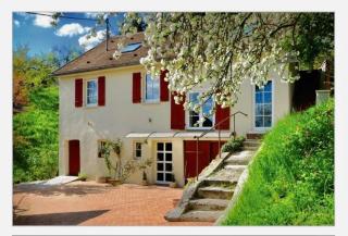 Haus Haselmaus - Zaunkönig - 0