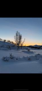 Huset nært blåisvannet - 7