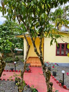 Wild Forest Inn Thekkady - 7
