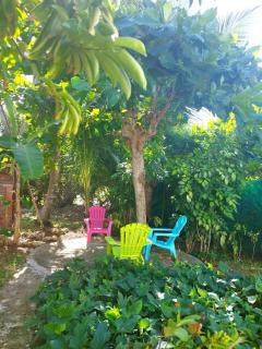 Miracle des Caraibes - 4