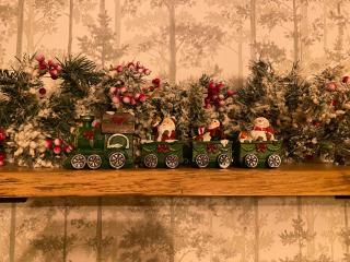 Luxury bungalow Woldzicht - 1