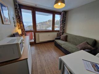 Studio fonctionnel avec balcon, accès direct aux pistes - Plagne Centre - FR-1-181-2653 - 0