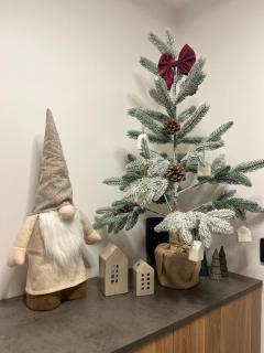 Apartments Wally - 6