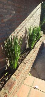 La Paloma Oceanica - 4