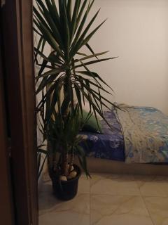 المنطقه الحره الفندقيه بمدينه نصر - 8