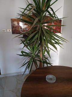 المنطقه الحره الفندقيه بمدينه نصر - 1