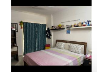 The Paradise - Greater Noida - 0