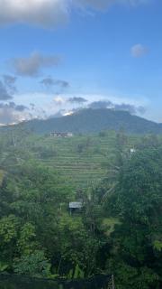 Wayan Bola Homestay - 5