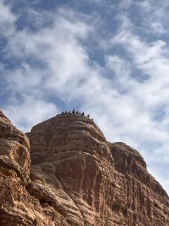 Dana horizon hotel - 4