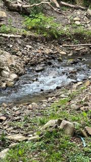 Sítio Pedra Branca - 6