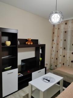 Jovana Apartman Vrnjacka Banja - 9