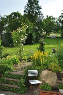 La Reine des Prés - 1