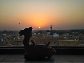 Incredible's Hostel & Safari - 8