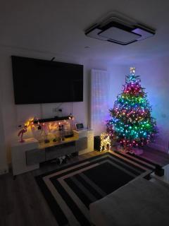 Cozy bedroom 2 in a Charming London Flat - 2