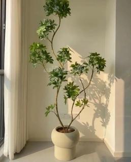 Luxury Eliana Hotel - 4