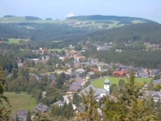 Große Ferienwohnung Oberzarten - Hinterzarten - 8