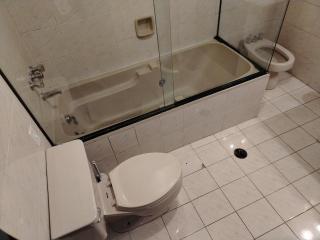 Palma Real Suite Ejecutiva en el Centro de La Paz WiFi Rápido H8 - 9