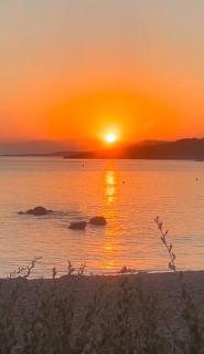 Maison les pieds dans l'eau - Lumio - 7