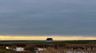 Pensiunea Egreta - 0