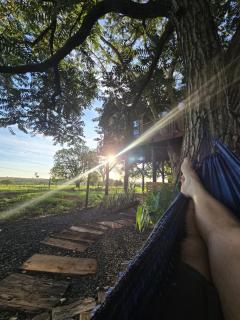 Casa na arvore Dream tree house - 9