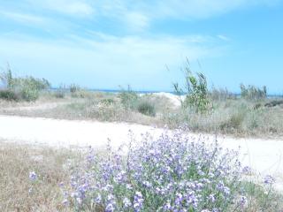 Villa Nicole - LUMINOSO APPARTAMENTO - 2