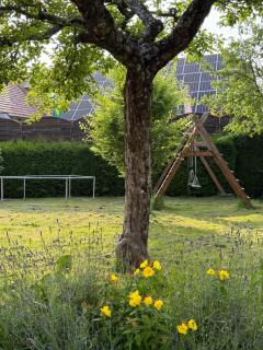 Apartments Žnidar - Spodnje Gorje - 6