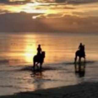 Villa Nicole - STELLA MARINA APARTMENT - 1