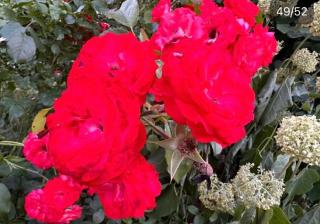 Brakel Monteu -Ferin Wohnung 1-5xDouble Zimmer - 5