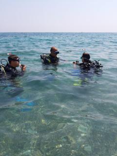 Villa Nicole - CORALLO APARTMENT - 8