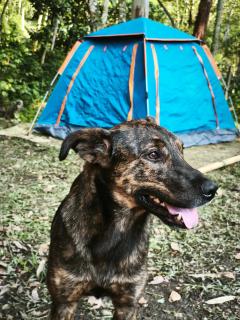 Refugio Los Naranjales - 8