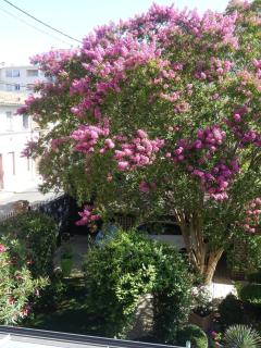 Calme et confort centre ville avec parking privé - 2