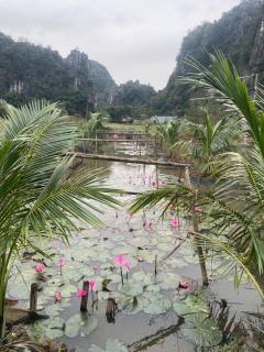Bamboo hostel tam coc - 5