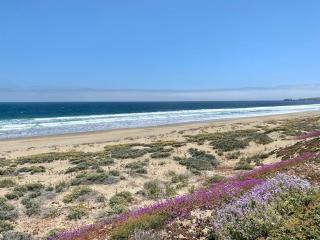 Increíble casa primera lineal Playa Morrillos - 2