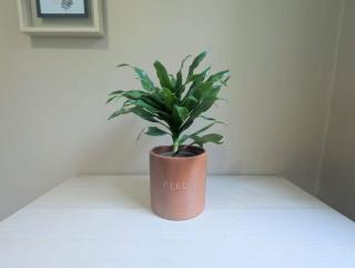 Les Hortensias - Parking - Extérieur - Wifi - 5