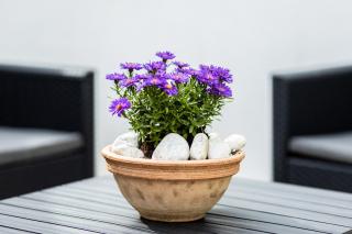 Bükkös Liget Apartman - 9