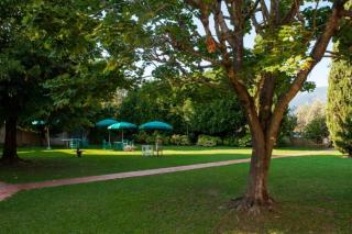 Villa Marinsky Pietrasanta - 4