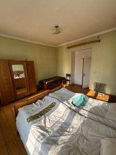 Loria's Cozy House - Telavi - 2